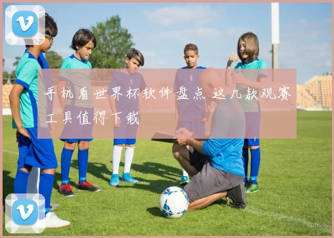 手机看世界杯软件盘点 这几款观赛工具值得下载