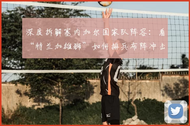 深度拆解塞内加尔国家队阵容：看“特兰加雄狮”如何排兵布阵冲击世界