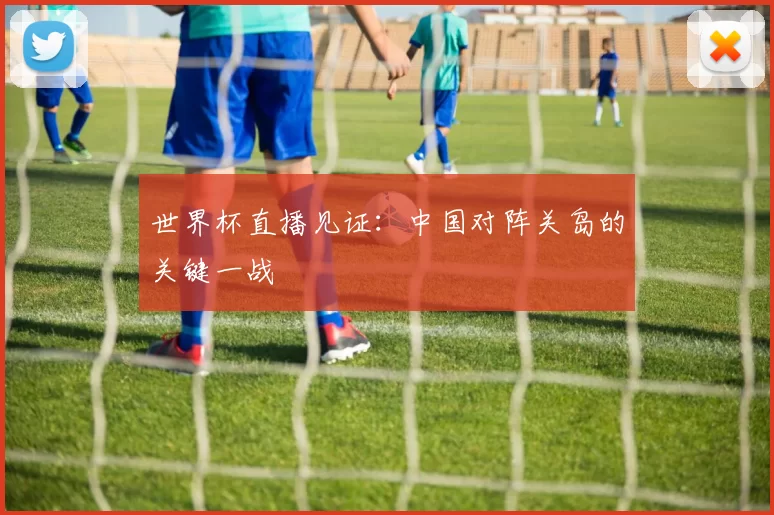 世界杯直播见证:中国对阵关岛的关键一战