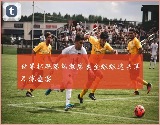 世界杯观赛热潮席卷全球球迷共享足球盛宴