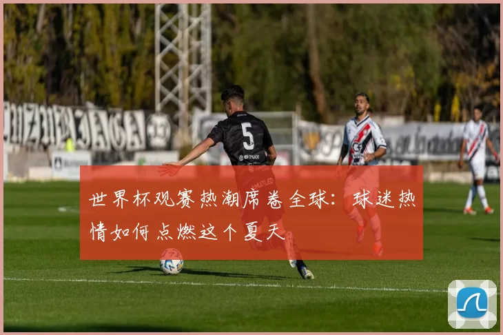 世界杯观赛热潮席卷全球:球迷热情如何点燃这个夏天