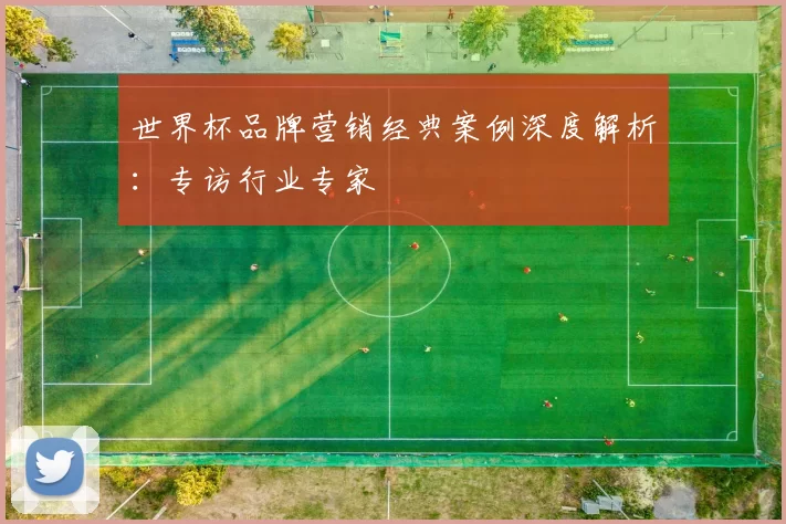 世界杯品牌营销经典案例深度解析:专访行业专家