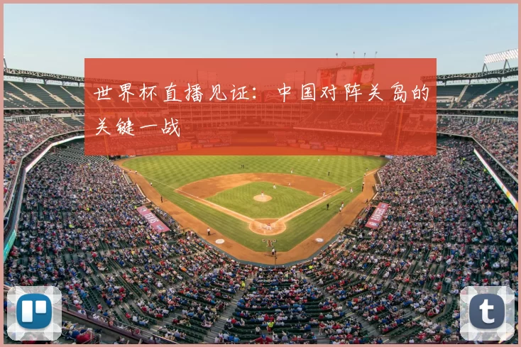 世界杯直播见证:中国对阵关岛的关键一战