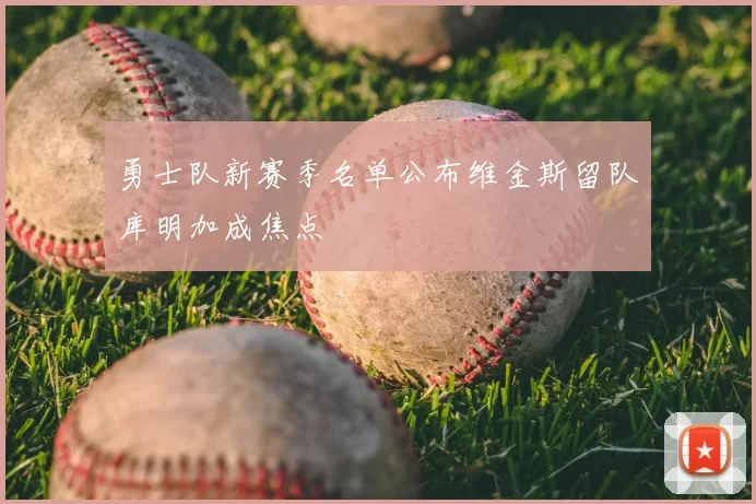 勇士队新赛季名单公布维金斯留队库明加成焦点