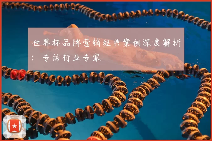 世界杯品牌营销经典案例深度解析:专访行业专家